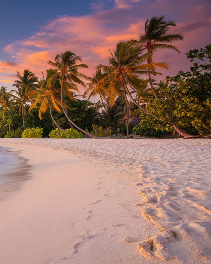 [✈️] Guide destination — Caraibes Evasion